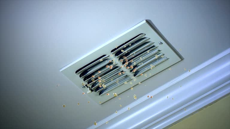 Best Affordable Duct Cleaning Services  in Serenada, TX